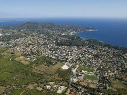 Dans le Var, quelles solutions pour la remise en culture des terres en friche ?