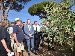 Le préfet Evence Richard au chevet des agriculteurs