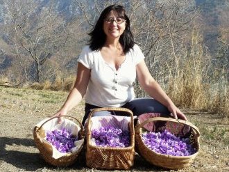 Safran : Pauline cultive l'épice précieuse dans la vallée de la Vésubie