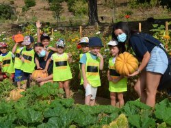 Au Lavandou, cet été, un programme riche et varié pour les jeunes