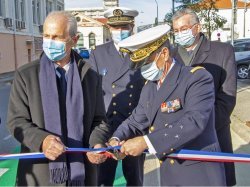 A Toulon, 1 000 arbres pour un poumon vert