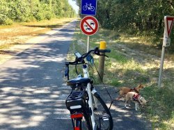 En région Sud, les touristes étrangers reviennent