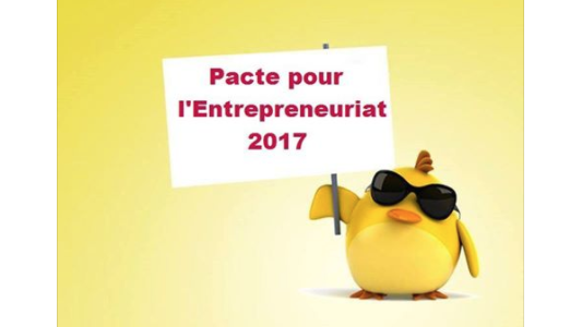  Poussins sortez de votre coquille et faites entendre votre voix pour l'élection présidentielle de 2017 !