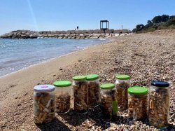 Au Pradet, grande opération de nettoyage des plages et des fonds marins