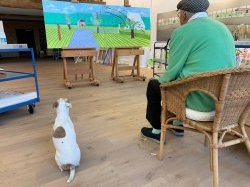 Exposition 2.0 : « Ma Normandie » de David Hockney directement depuis chez soi