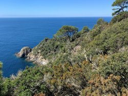 A Hyères, le Parc national mobilisé contre le risque incendie