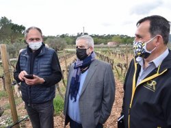 A Cuers, une convention pour préserver la ressource agricole