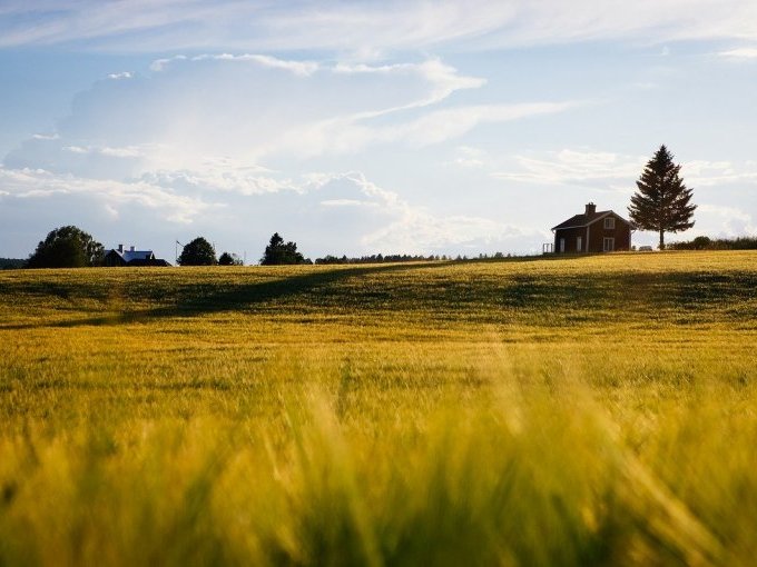 Marché immobilier : (...)