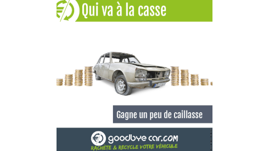 Goodbye Car une initiative de développement durable unique sur le territoire français