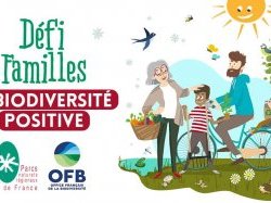 Le Parc des Préalpes d'Azur recherche familles pour relever le défi de la biodiversité positive !