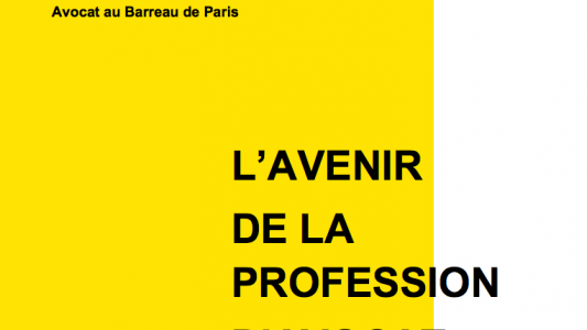 Réflexions sur « L'avenir de la profession d'avocat »