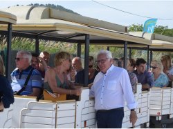 A Hyères, la route du sel se dévoile aussi en petit train !