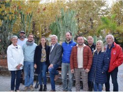 4 000 arbres en bonne santé sur le territoire du Lavandou