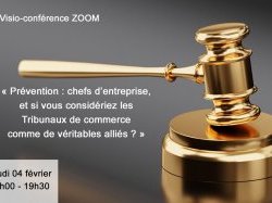 Visioconf - "Les tribunaux de commerce sont les alliés des chefs d'entreprise"