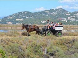 A Hyères, Les Salins, un site remarquable et exceptionnel