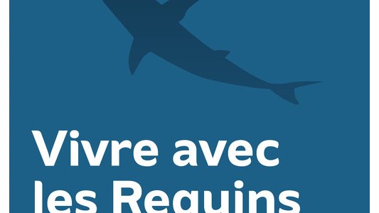 Boîte à outils « Vivre avec les Requins » : Et si l'on pouvait efficacement se protéger des attaques ?