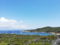 Porquerolles : une perle posée sur la mer