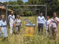 A La Garde, des abeilles pour surveiller la qualité de l'air et de l'eau