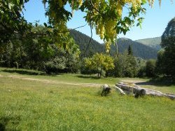 Trop chaud ? Vite, filez à la montagne !