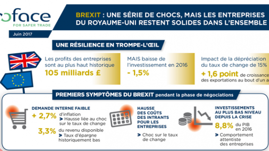 Brexit : Malgré des chocs multiples, le Royaume-Uni restera une destination attractive pour les entreprises selon la Coface