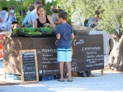 A La Farlède, première nocturne réussie pour le marché de la cerise