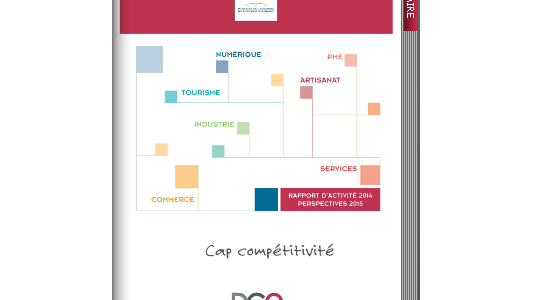 La DGE publie son rapport d'activité 2014