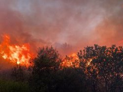 L'essentiel de l'actualité de ce mercredi 26 juillet