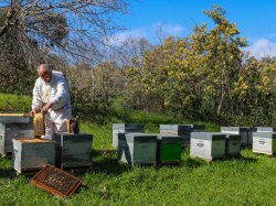 François Guérinot, apiculteur professionnel installe ses ruches à la Croix-des-Gardes pour protéger la biodiversité
