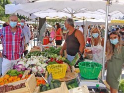 La Valette-du-Var, terre de maraîchers