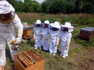 Miel : les apiculteurs modernisent leur site