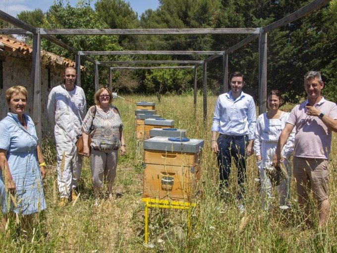 A La Garde, des abeilles