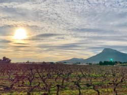 Une parenthèse au cœur du terroir provençal