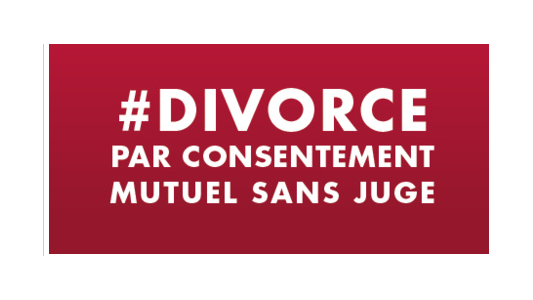 Nouveau divorce par consentement mutuel : le CNB dénonce des propos indignes de la part du Notariat et contraires à la loi