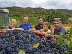 Domaine du Favanquet, un retour à la terre réussi pour 5 amis