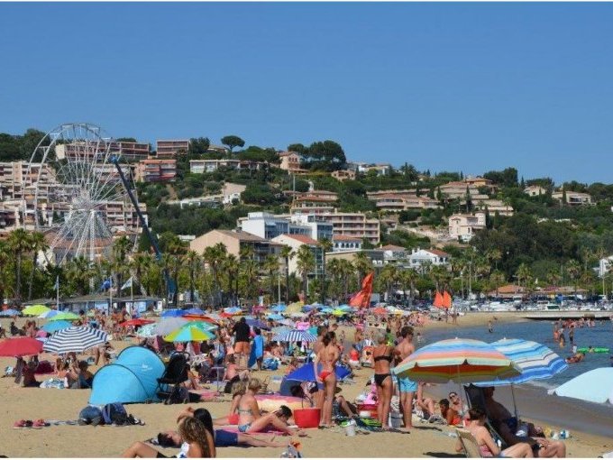 En région Sud, un été (...)